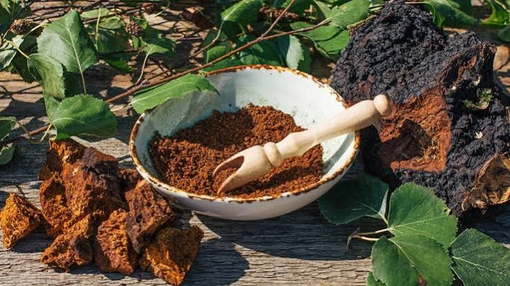 rhythmone-Chaga Mushroom Powder