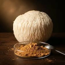 rhythmone-Lion's Mane Extract