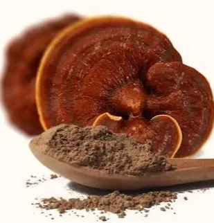 rhythmone-Organic Reishi Mushroom Powder
